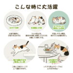猫 ケージ 2段 キャットケージ 木製フレームは後悔する？選び方と本音レビュー【2026年最新】
