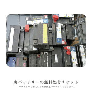 2個セット セニアカー用バッテリーは後悔しない?デメリットとセニアカーとの違い、購入前の不安を解消