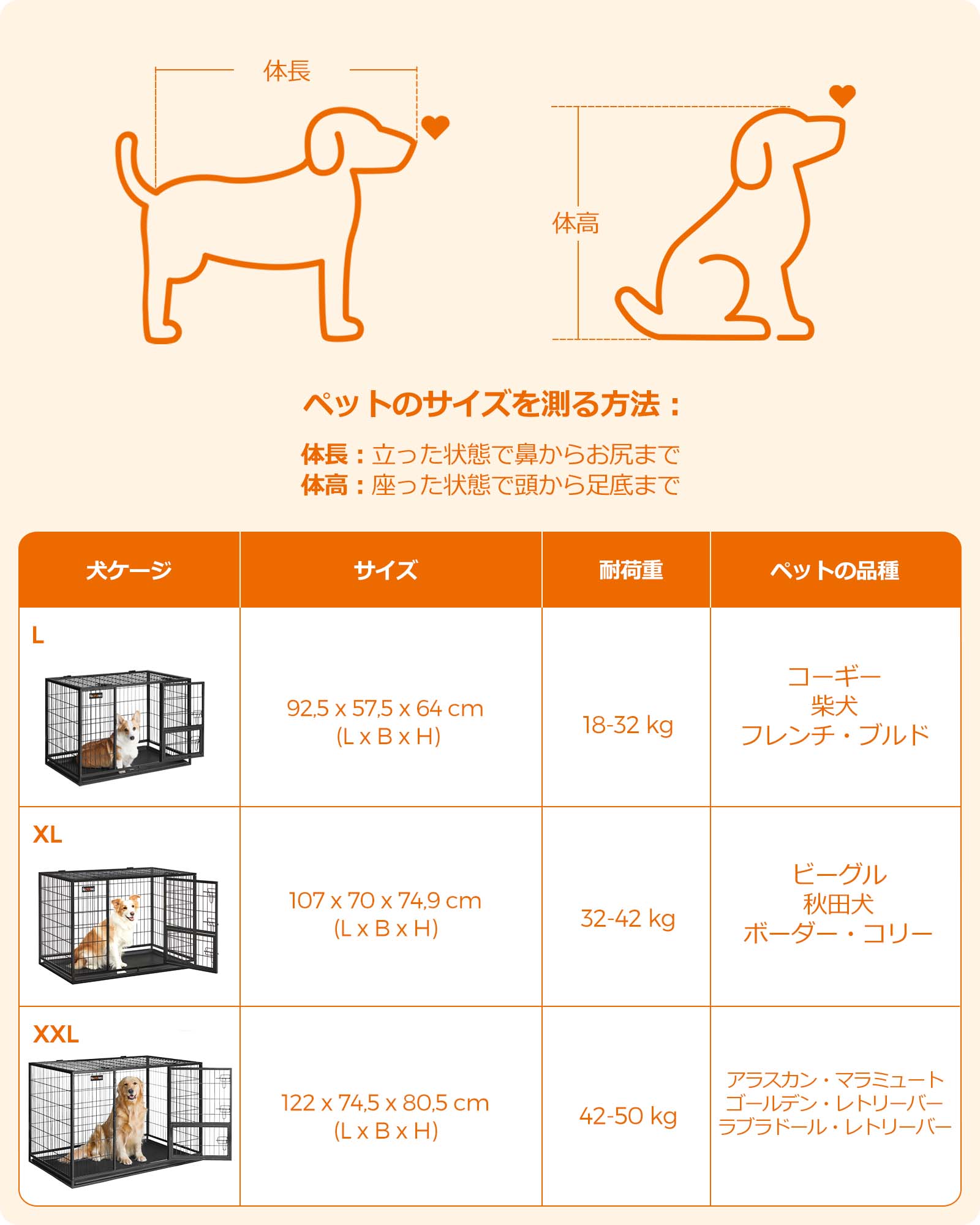 商品画像 12