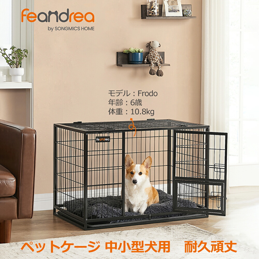 商品画像 13