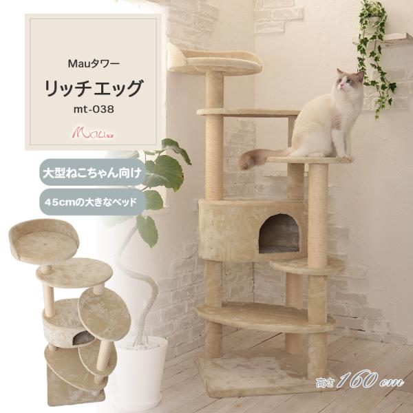 商品メイン画像