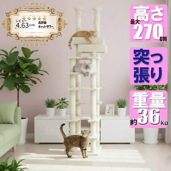 商品メイン画像